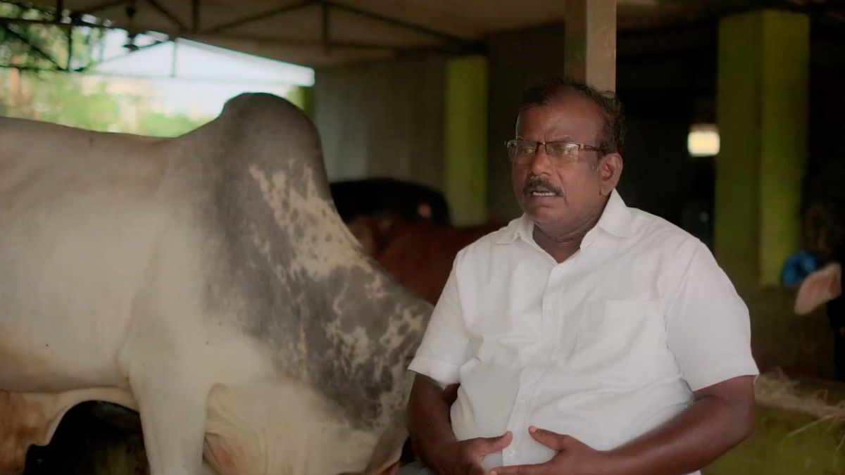 Jeevamrutham: The “Nectar of Life” We Brew In a Blue Barrel
